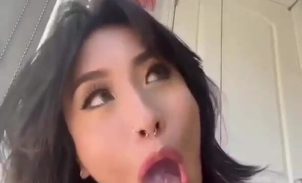 Kittynobi aka Tiffanobi Onlyfans Video Blowjob Dildo